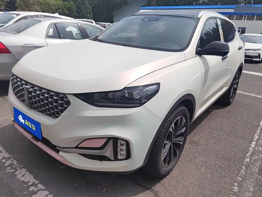 Wey Wey VV6 2020