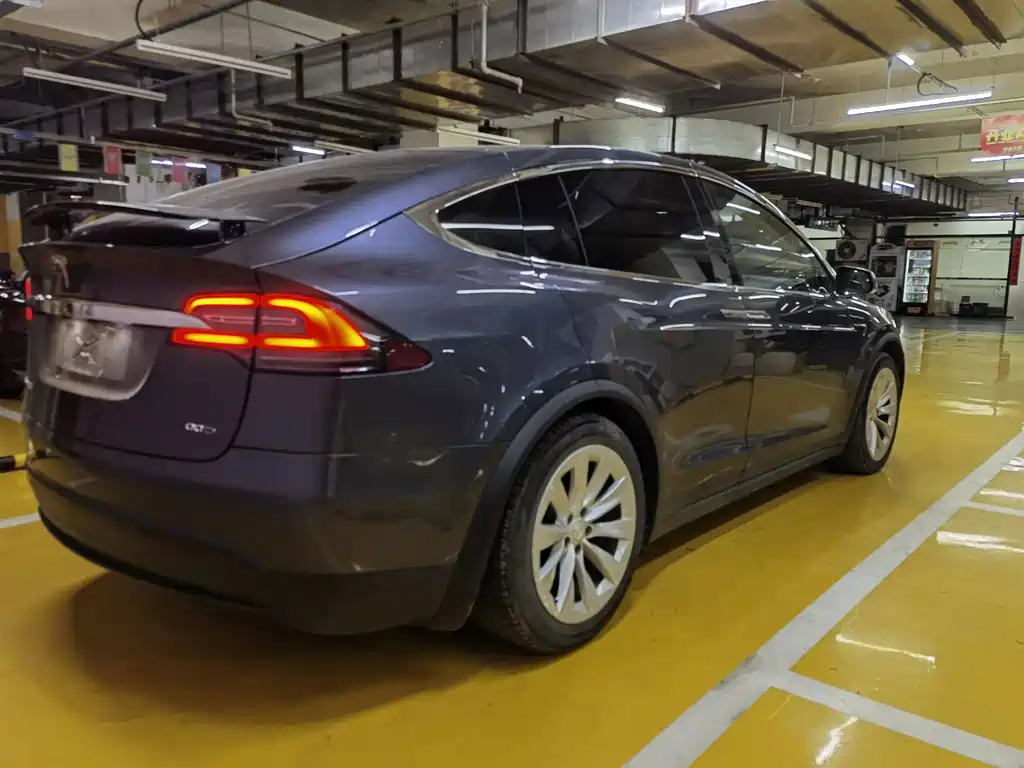 Tesla Model X — миниатюра 6