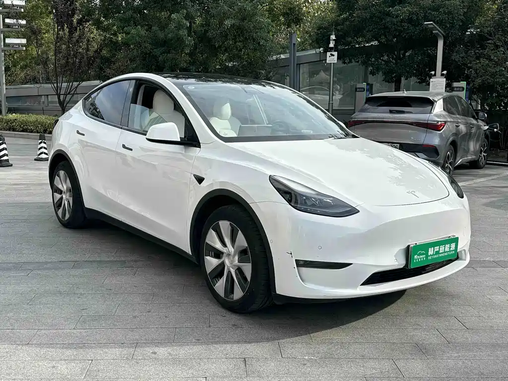 Tesla Model Y — миниатюра 3