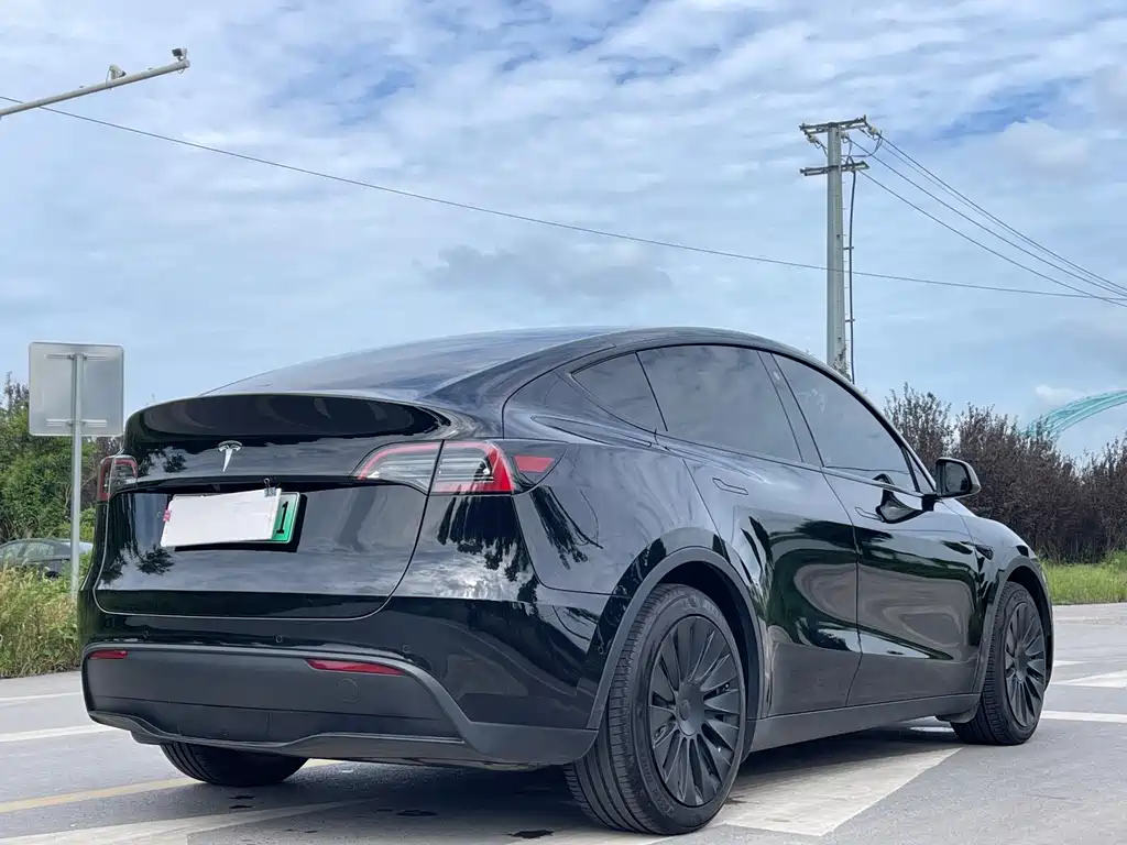 Tesla Model Y — миниатюра 7