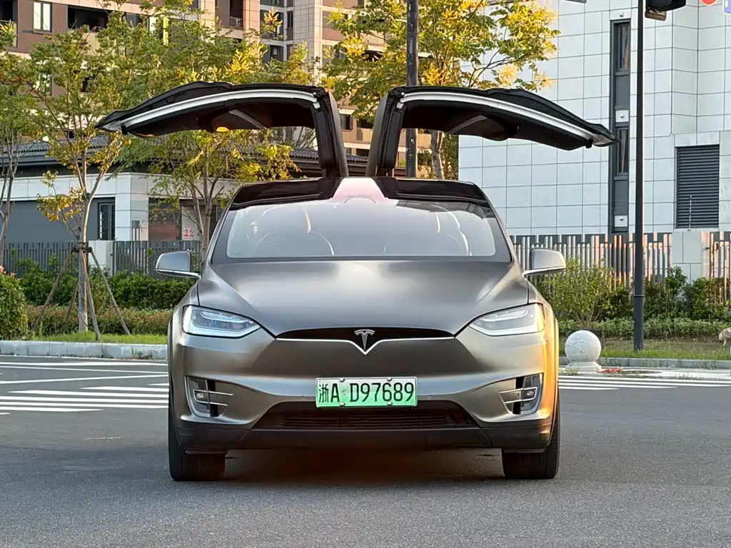 Tesla Model X — миниатюра 2