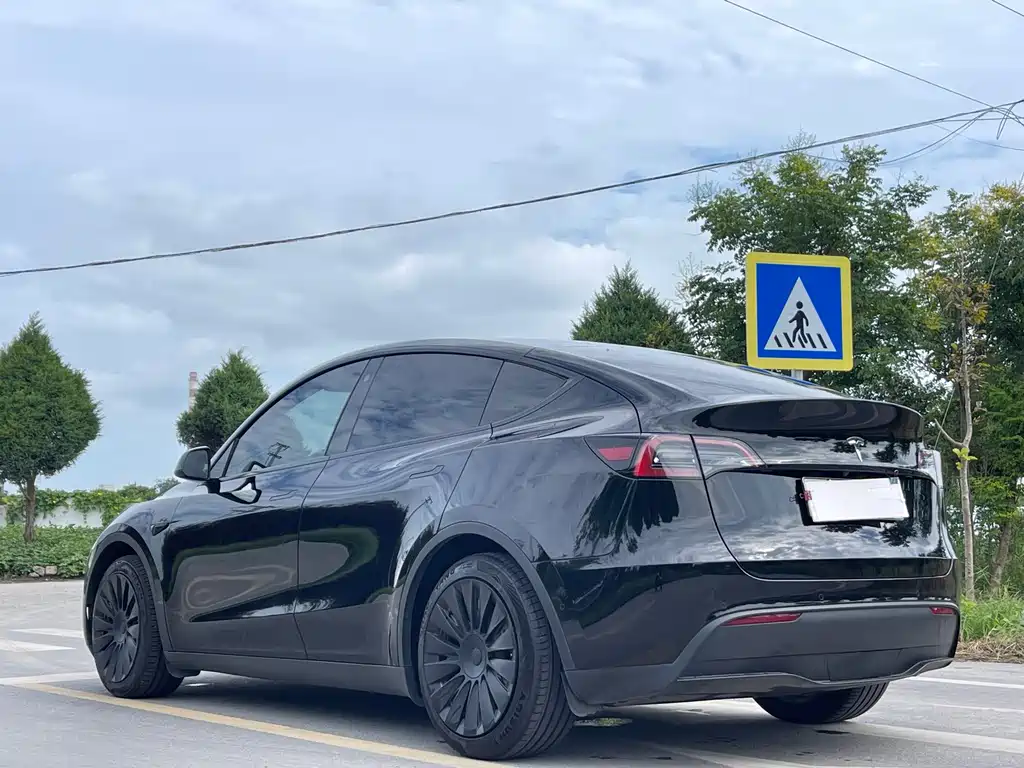 Tesla Model Y — миниатюра 5