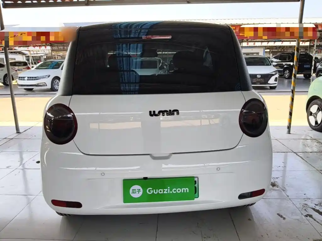 Qiyuan Lumin — миниатюра 6