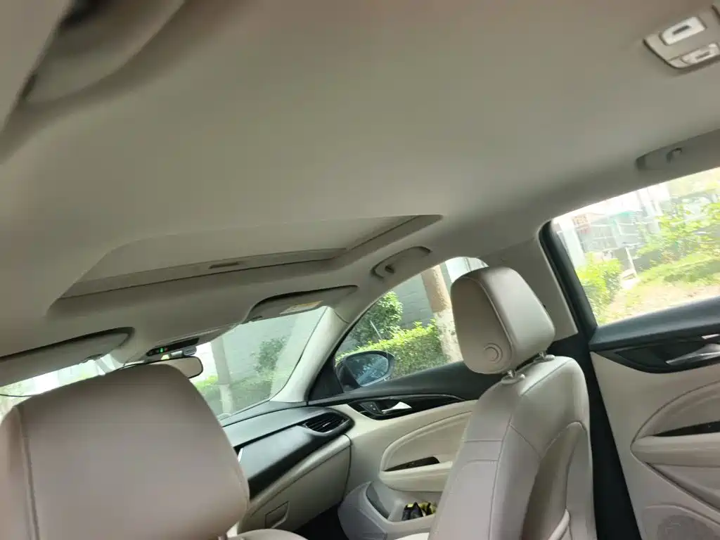 Buick Regal — миниатюра 15