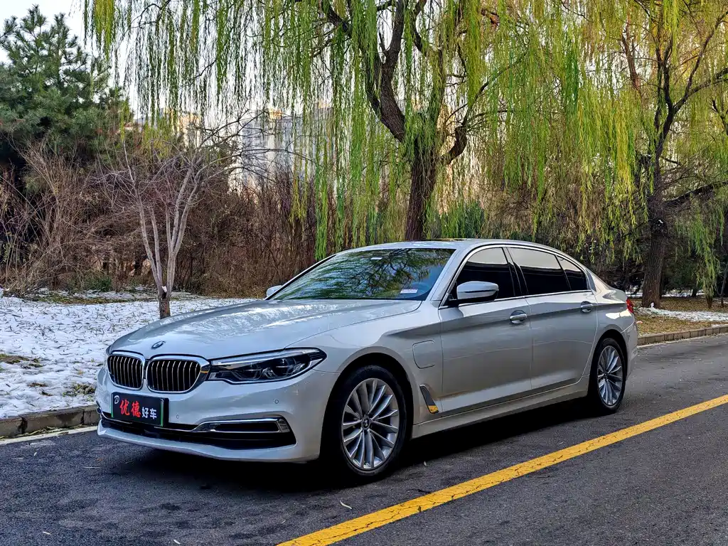 BMW 5 Series New Energy 2019
