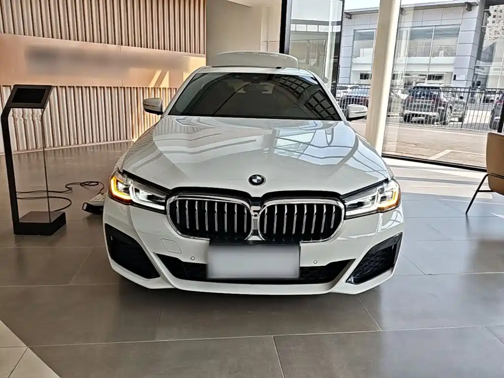 BMW 5 Series (Import) — миниатюра 3