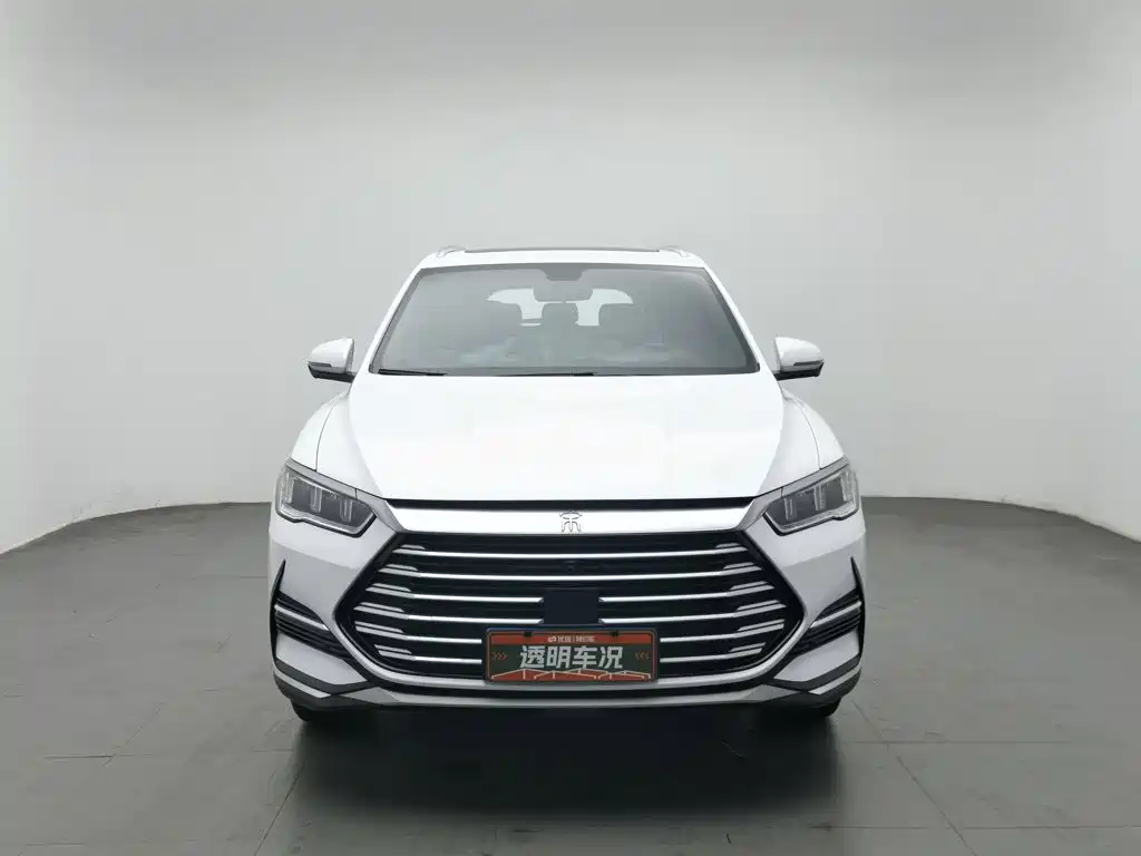 BYD Pro — миниатюра 3