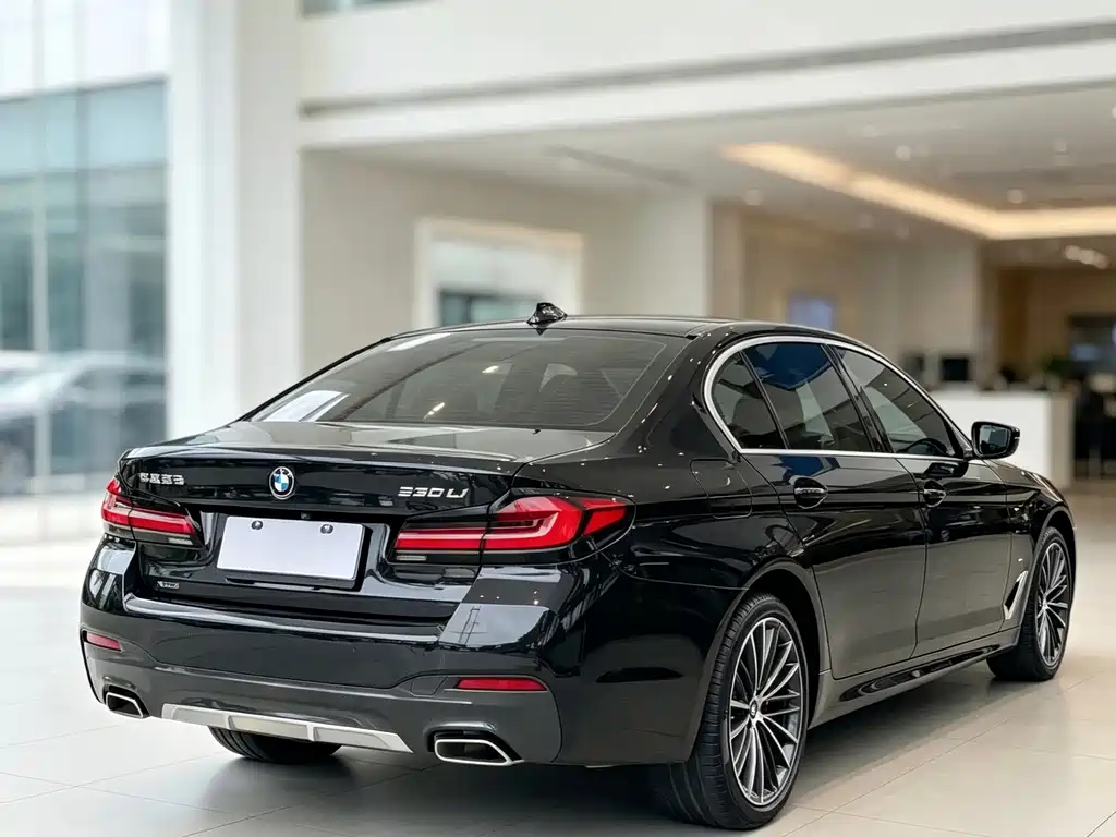 BMW 5 Series — миниатюра 6