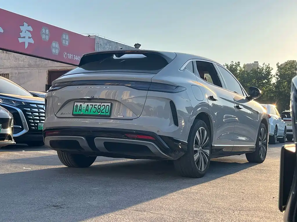 Denza Denza N7 — миниатюра 11