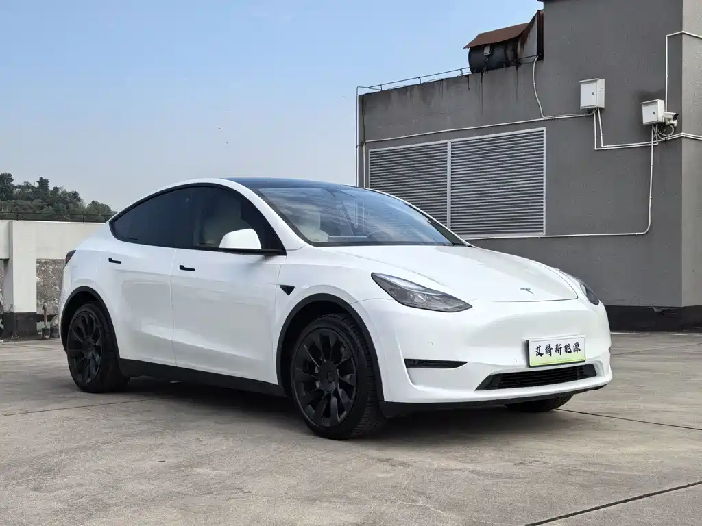 Tesla Model Y — миниатюра 3
