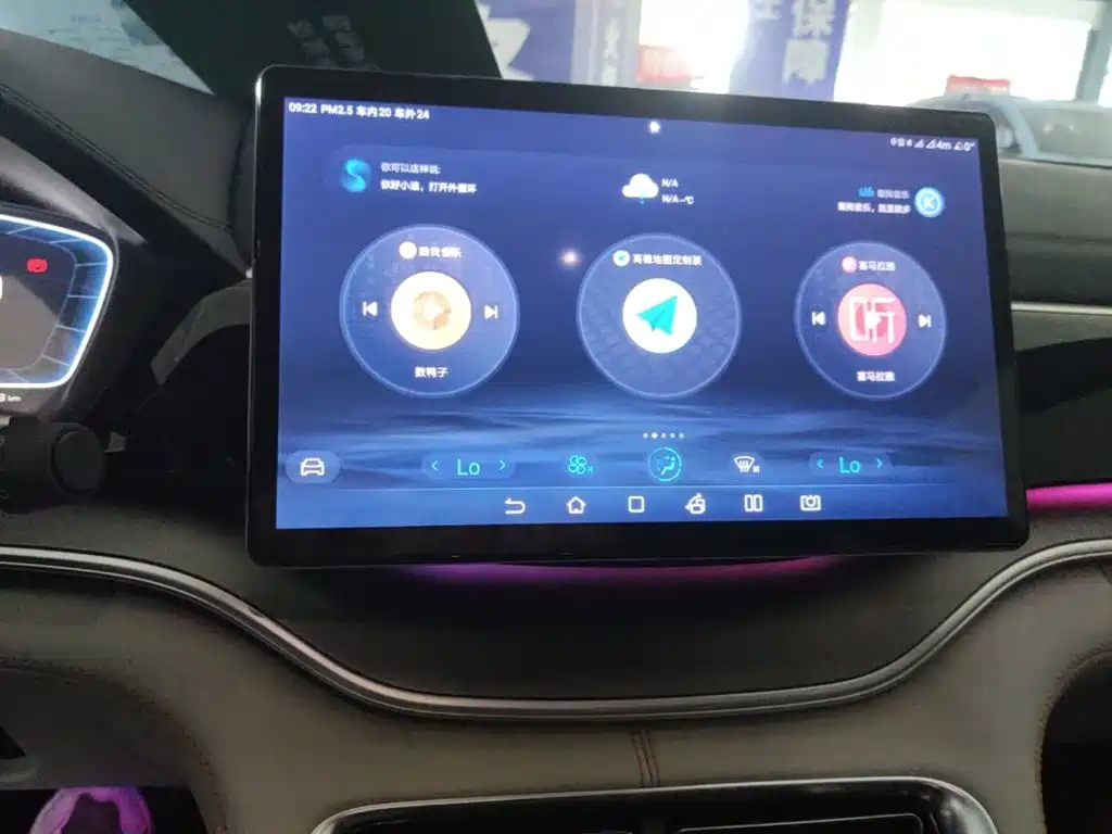 BYD PLUS New Energy — миниатюра 13