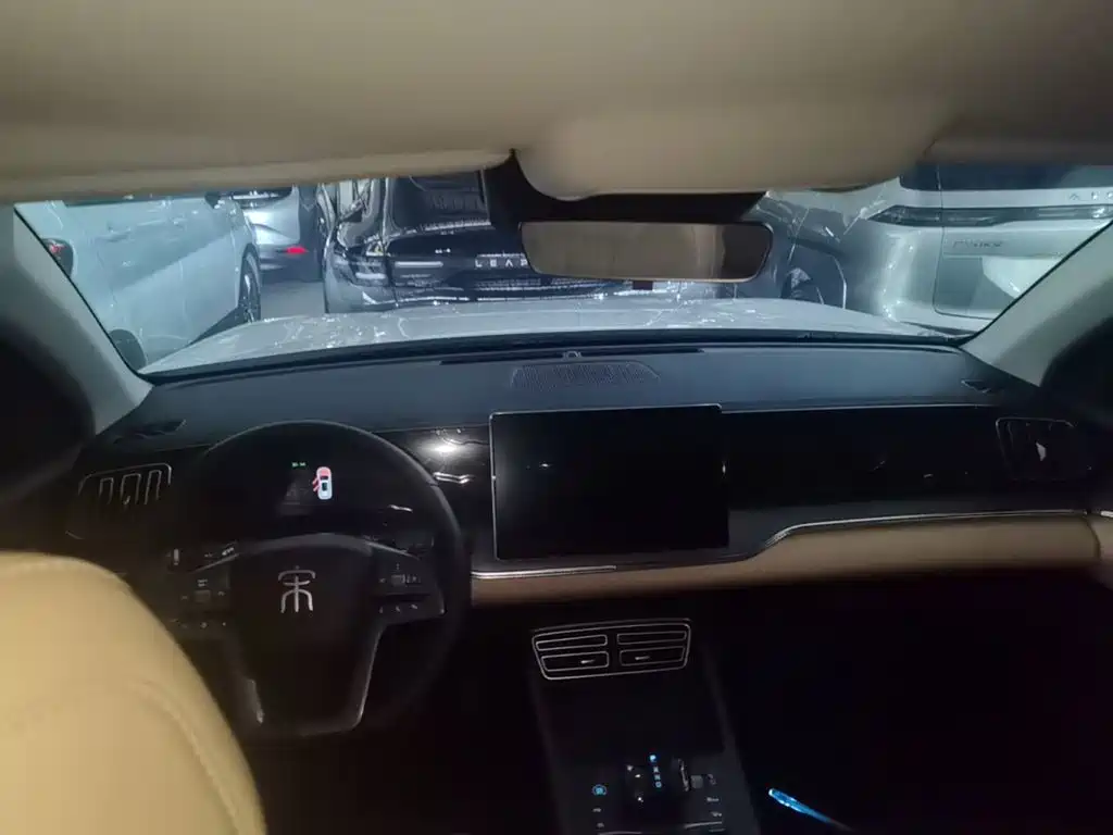 BYD Pro New Energy — миниатюра 10