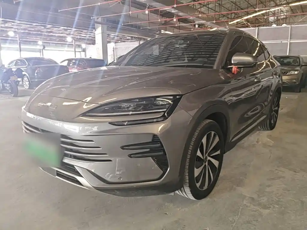 BYD PLUS New Energy — миниатюра 2