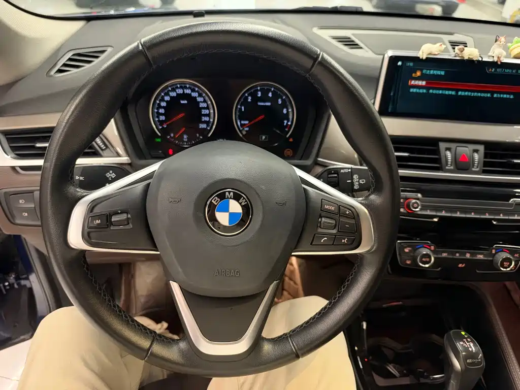 BMW X1 New Energy — миниатюра 11