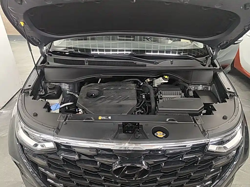 Hyundai Custo — миниатюра 20