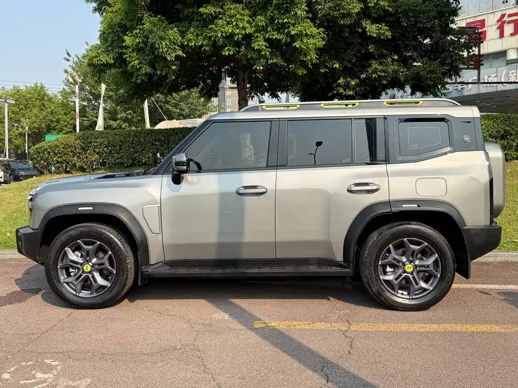 Shanhai Traveller C-DM — миниатюра 3