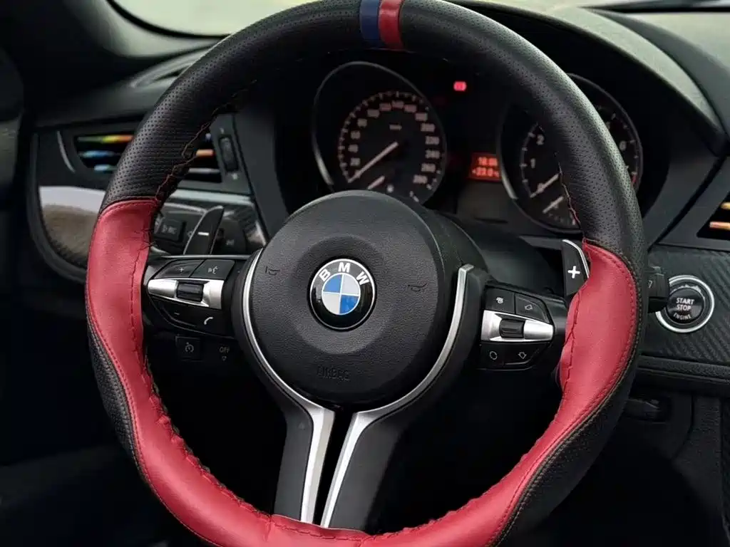 BMW Z4 2009 sDrive23i Lead