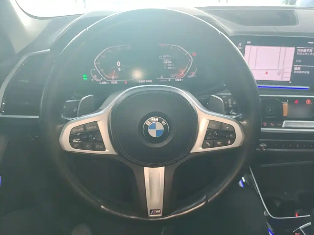 BMW X5 (Import) — миниатюра 11