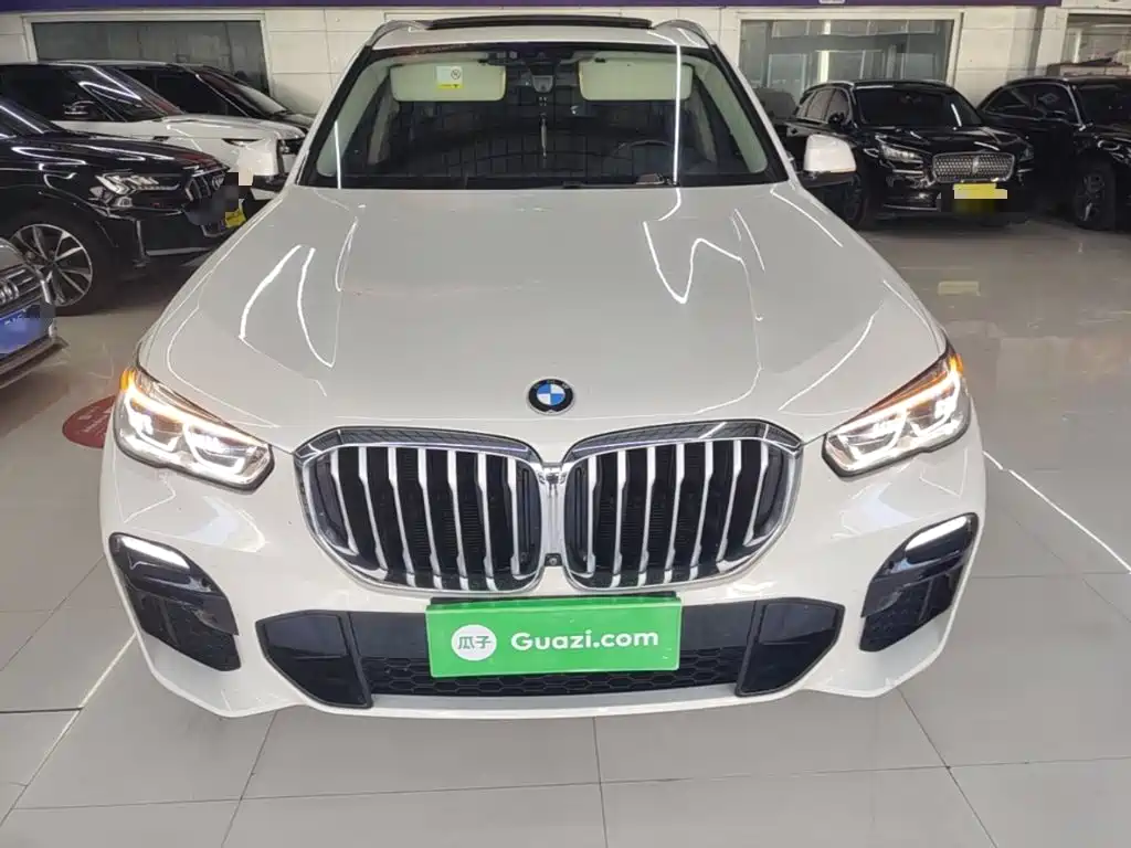 BMW X5 (Import) — миниатюра 3