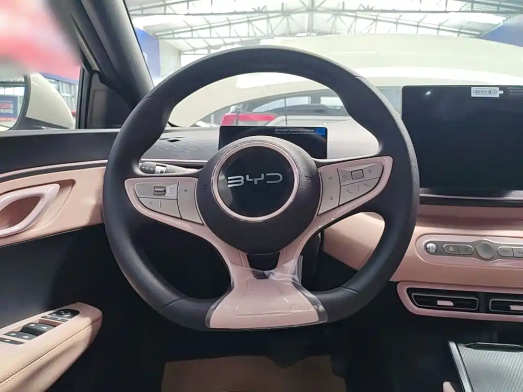 BYD Seagull — миниатюра 11