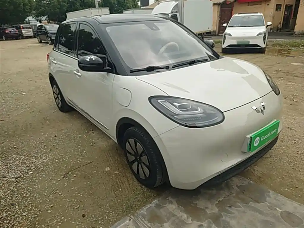 Wuling Binguo 2023 333km Enjoy