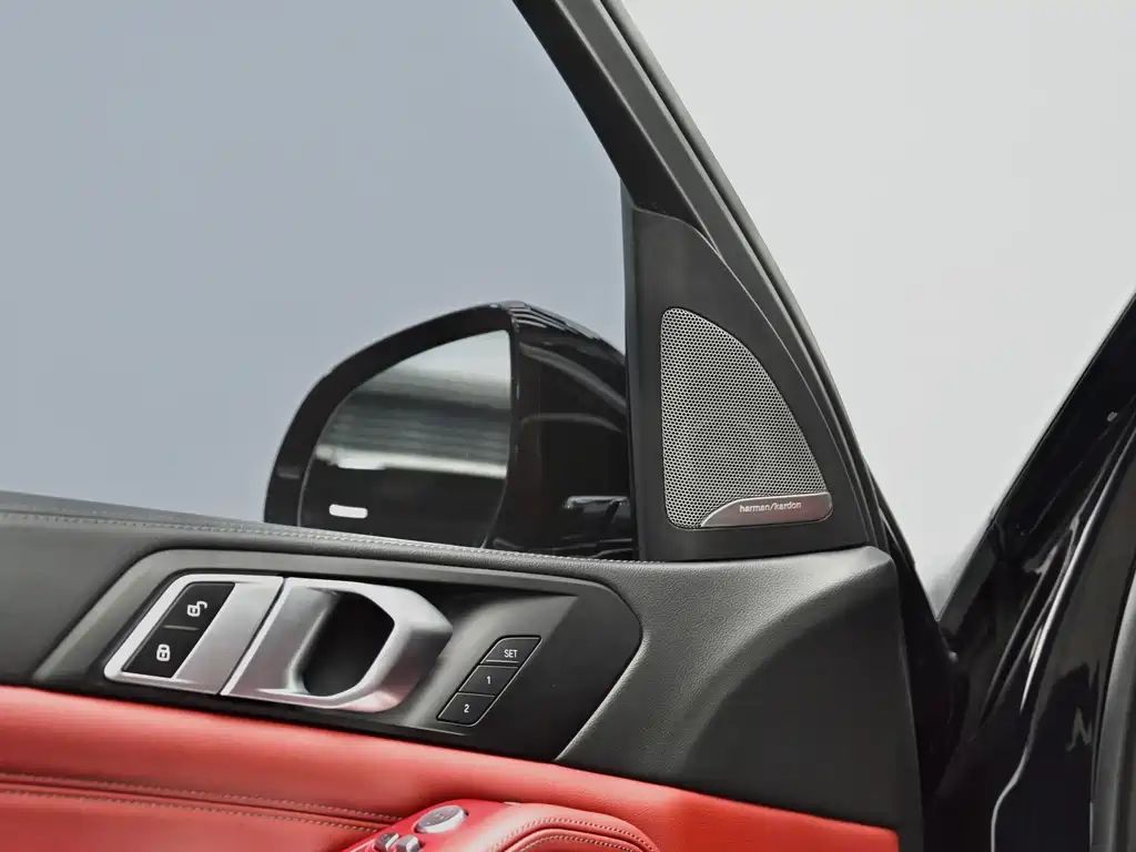 BMW X5 — миниатюра 18