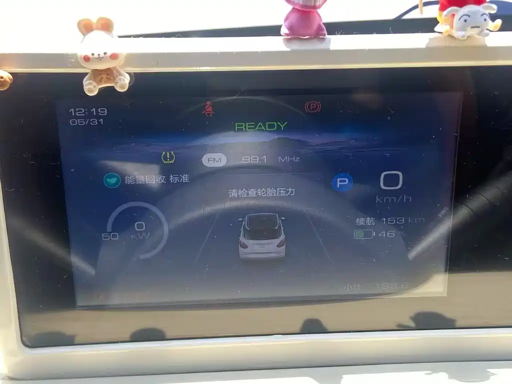 Wuling Binguo 2024 333km Enjoy