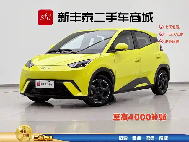2023 BYD Seagull