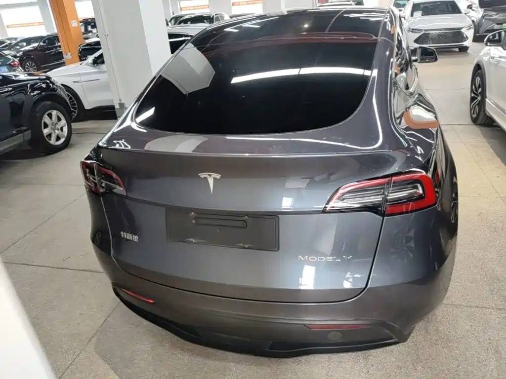 Tesla Model Y — миниатюра 6