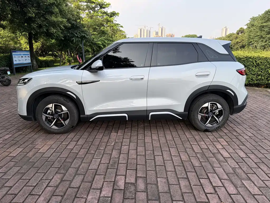 BYD Yuan Up UP 2024 401KM Lead