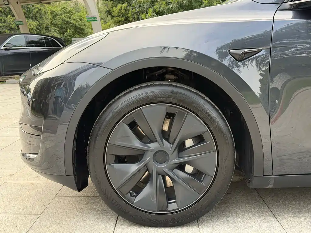 Tesla Model Y — миниатюра 10