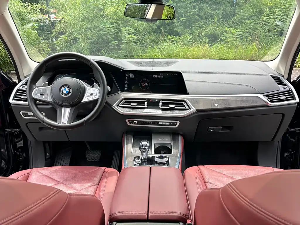 BMW X5 — миниатюра 13