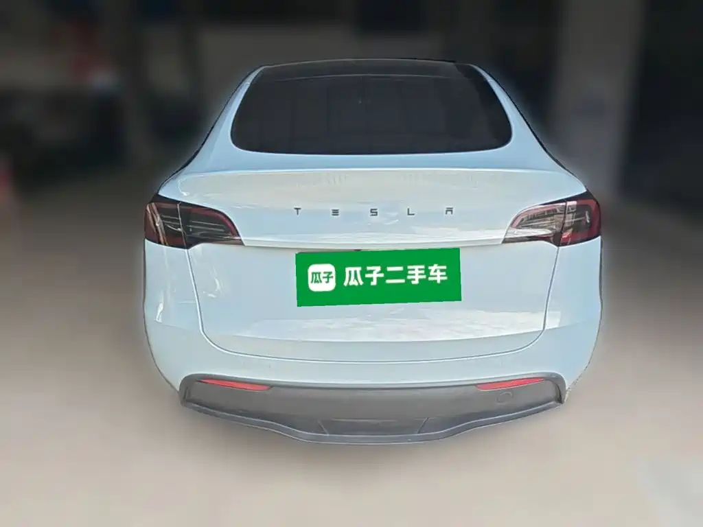 Tesla Model Y — миниатюра 8
