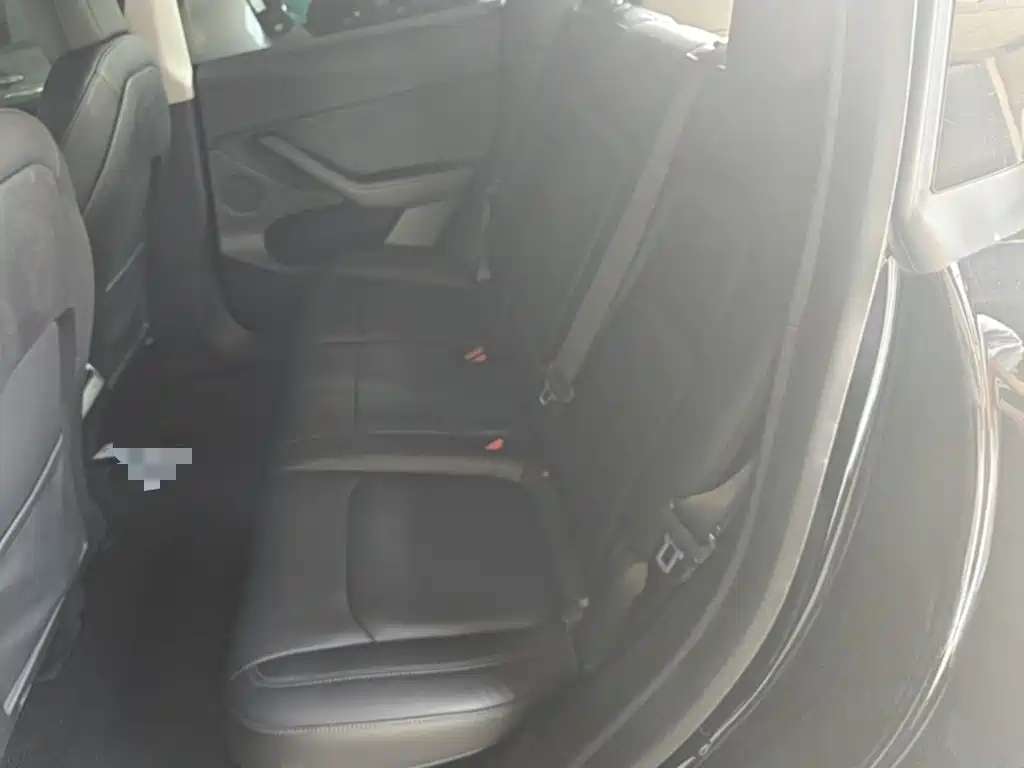 Tesla Model Y — миниатюра 22