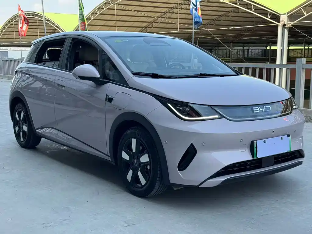 BYD Dolphin — миниатюра 3