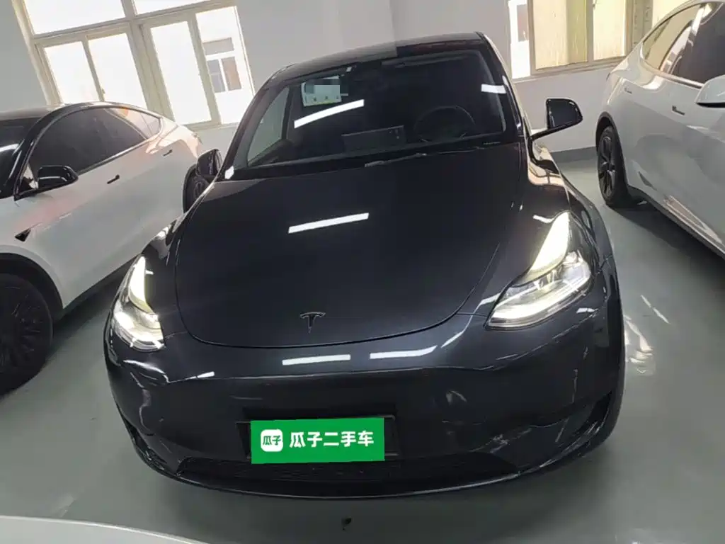 Tesla Model Y — миниатюра 3
