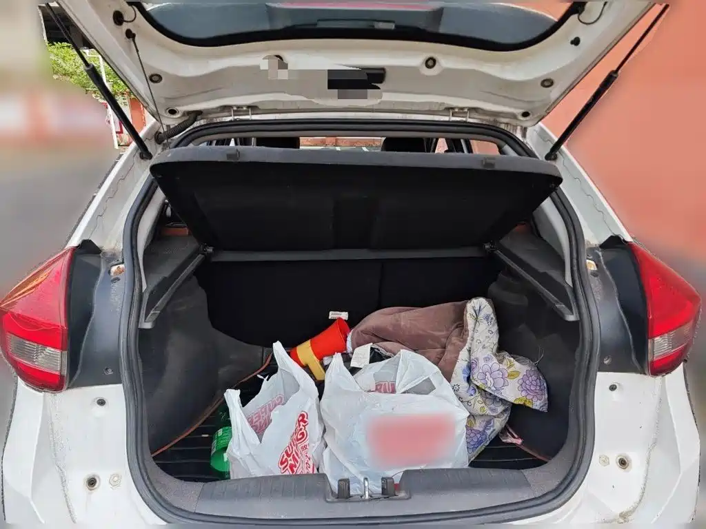 Chery Tiggo 3x — миниатюра 15