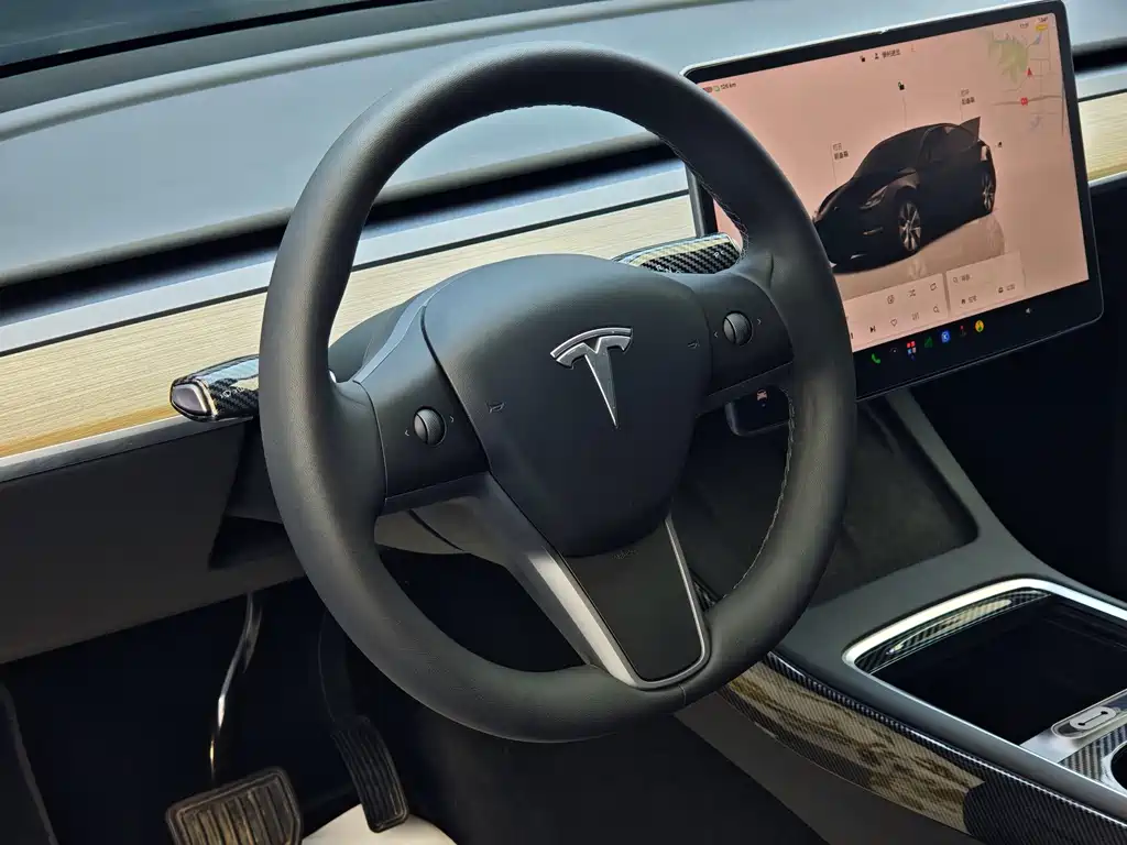 Tesla Model Y — миниатюра 16
