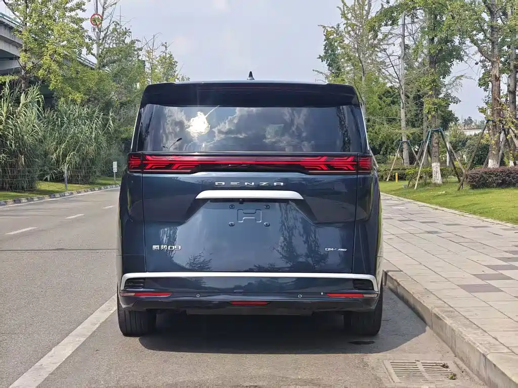 Denza Denza D9 — миниатюра 4