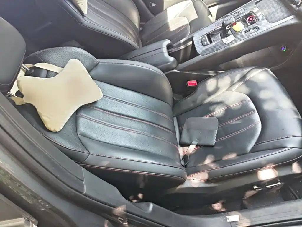 GAC Motor Shadow Leopard — миниатюра 25