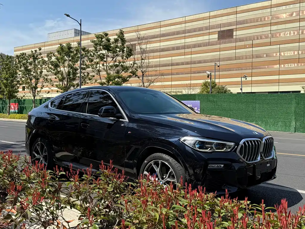 BMW X6 — миниатюра 7
