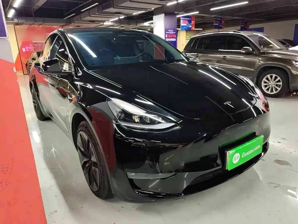 Tesla Model Y — миниатюра 4