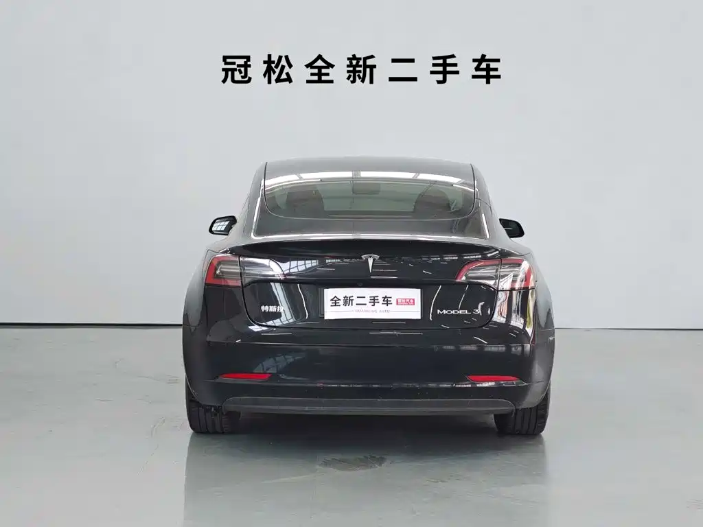 Tesla Model 3 — миниатюра 5