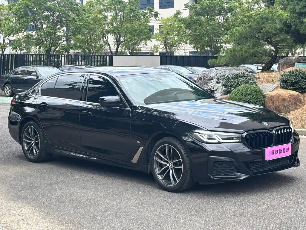 BMW 5 Series — миниатюра 3
