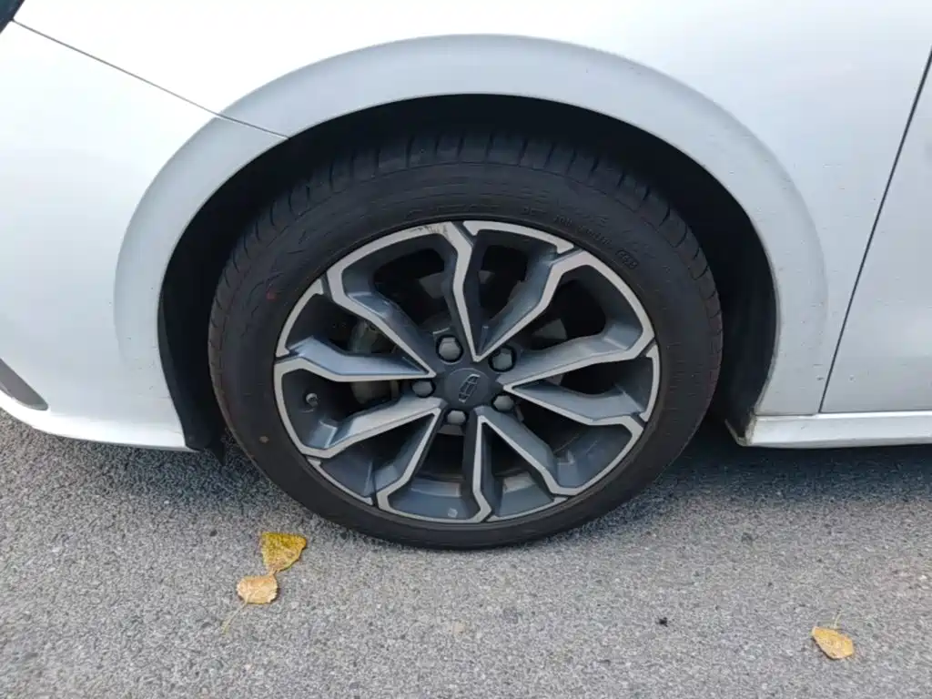 Geely Binrui — миниатюра 23