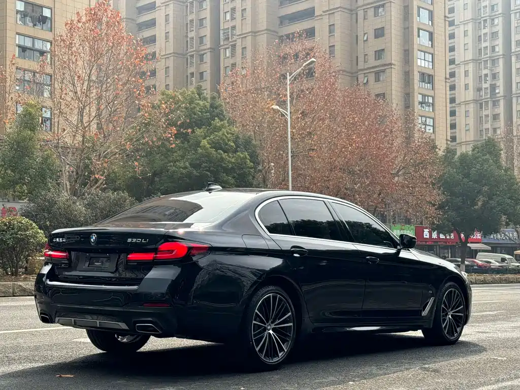 BMW 5 Series — миниатюра 4