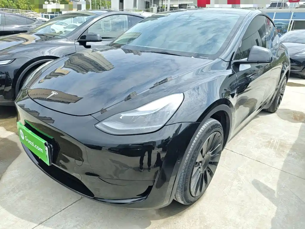 Tesla Model Y — миниатюра 2