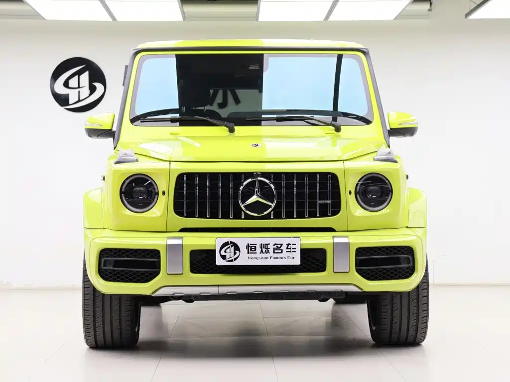 Mercedes-Benz G-Class — миниатюра 30