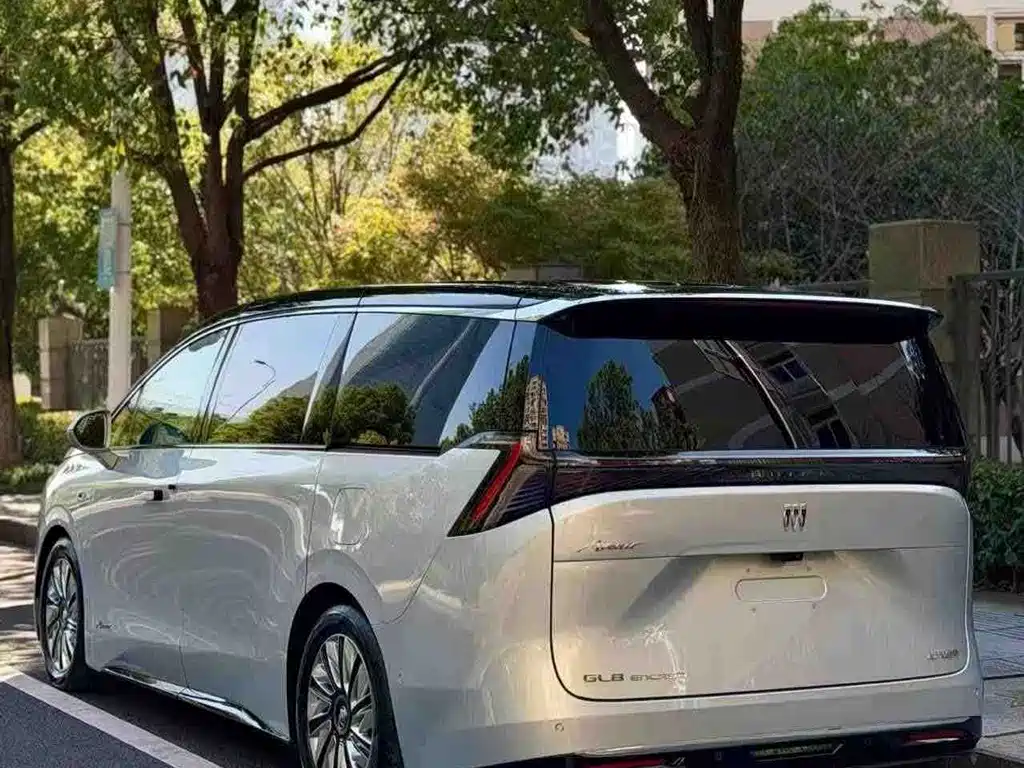 Buick Electra Encasa — миниатюра 2