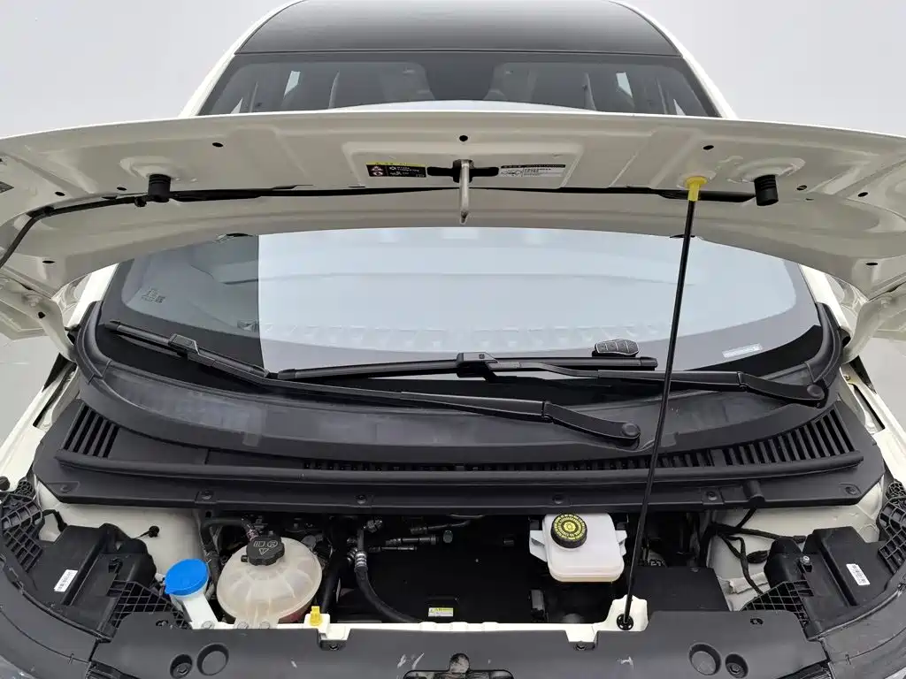 BYD Dolphin — миниатюра 6